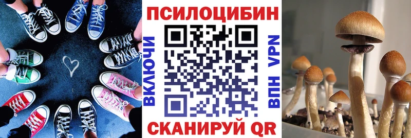 Псилоцибиновые грибы мухоморы  Бабаево 